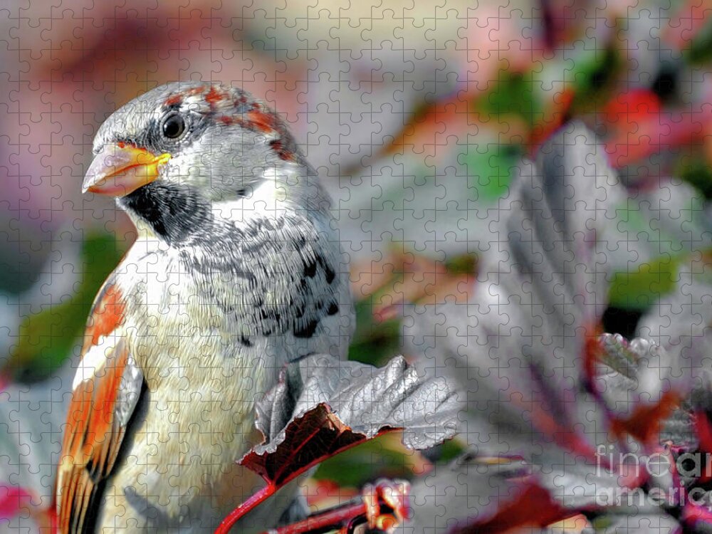Birds Jigsaw Puzzle featuring the photograph Sparrow Profile by Elaine Manley