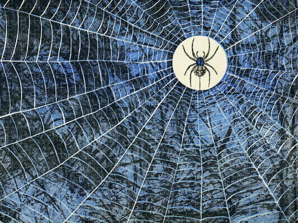Campy Jigsaw Puzzle featuring the drawing Spider in the Middle of Web by CSA Images