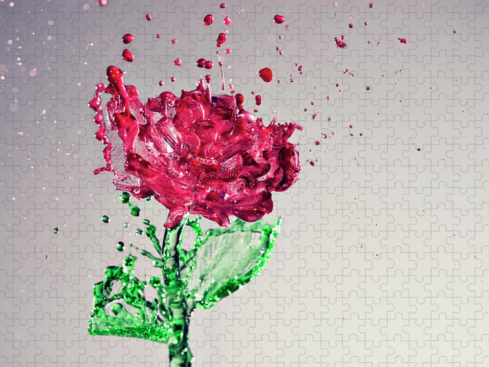 Motion Jigsaw Puzzle featuring the photograph Splash Of Rose by Yugus