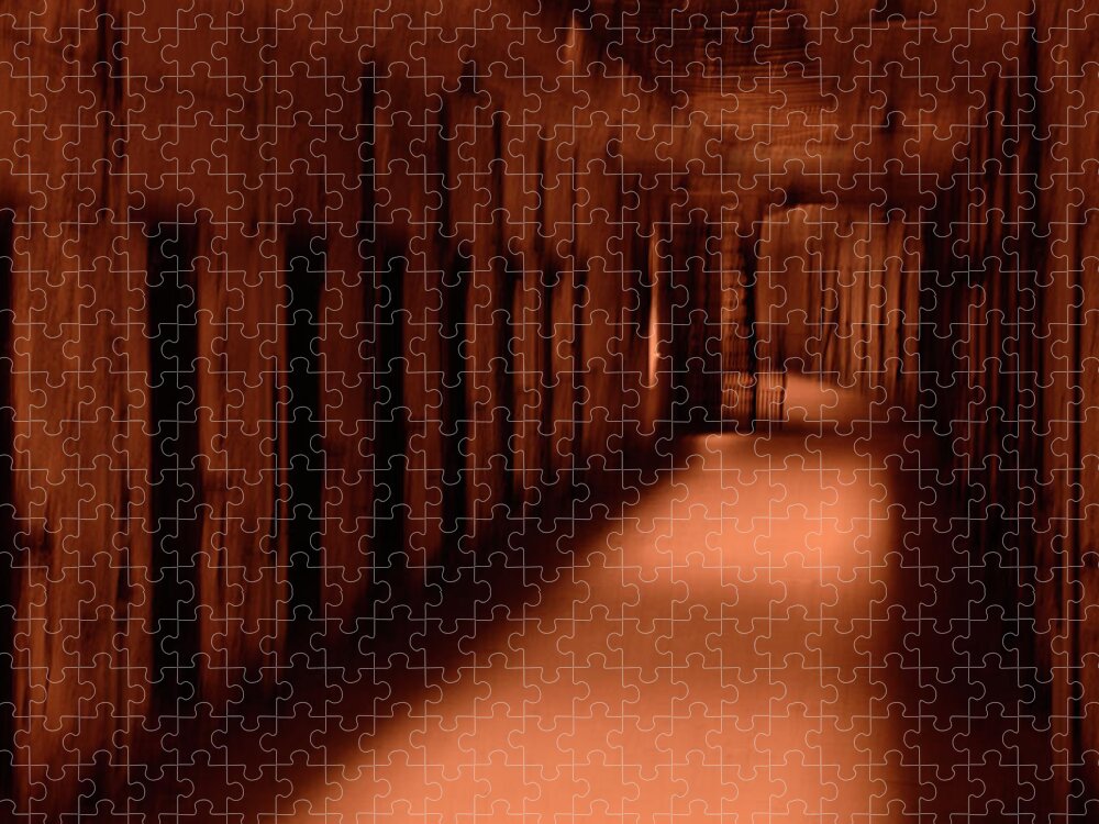 Eastern State Penitentiary Jigsaw Puzzle featuring the photograph Spooky old prison cells by Paul W Faust - Impressions of Light