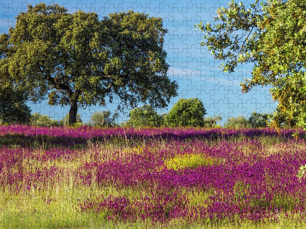 Estock Jigsaw Puzzle featuring the digital art Spring Bloom, Extremadura, Spain by Ugo Mellone