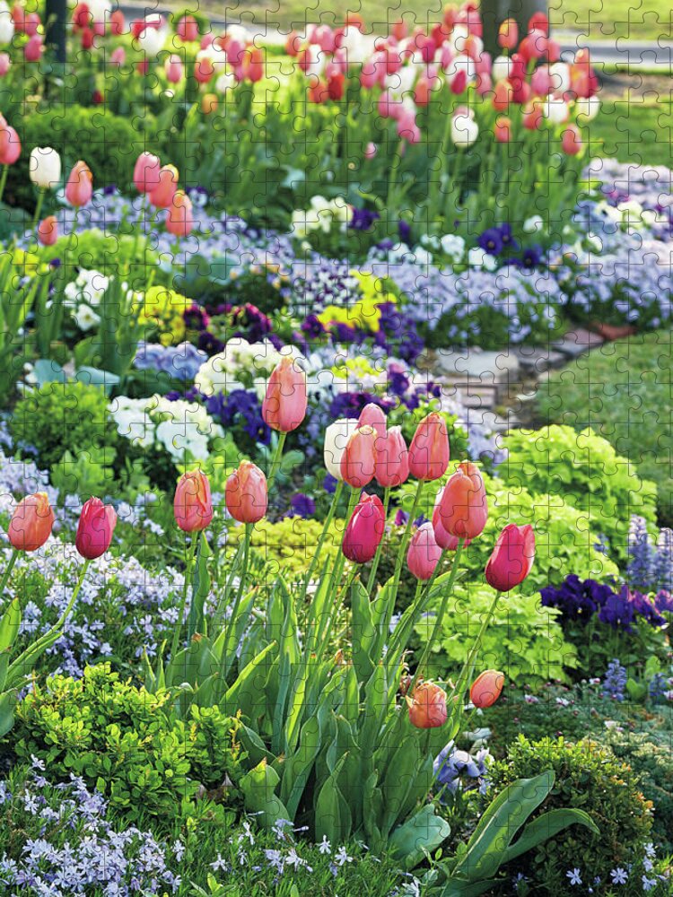 Flowers Jigsaw Puzzle featuring the photograph Spring Tulips by Garden Gate magazine