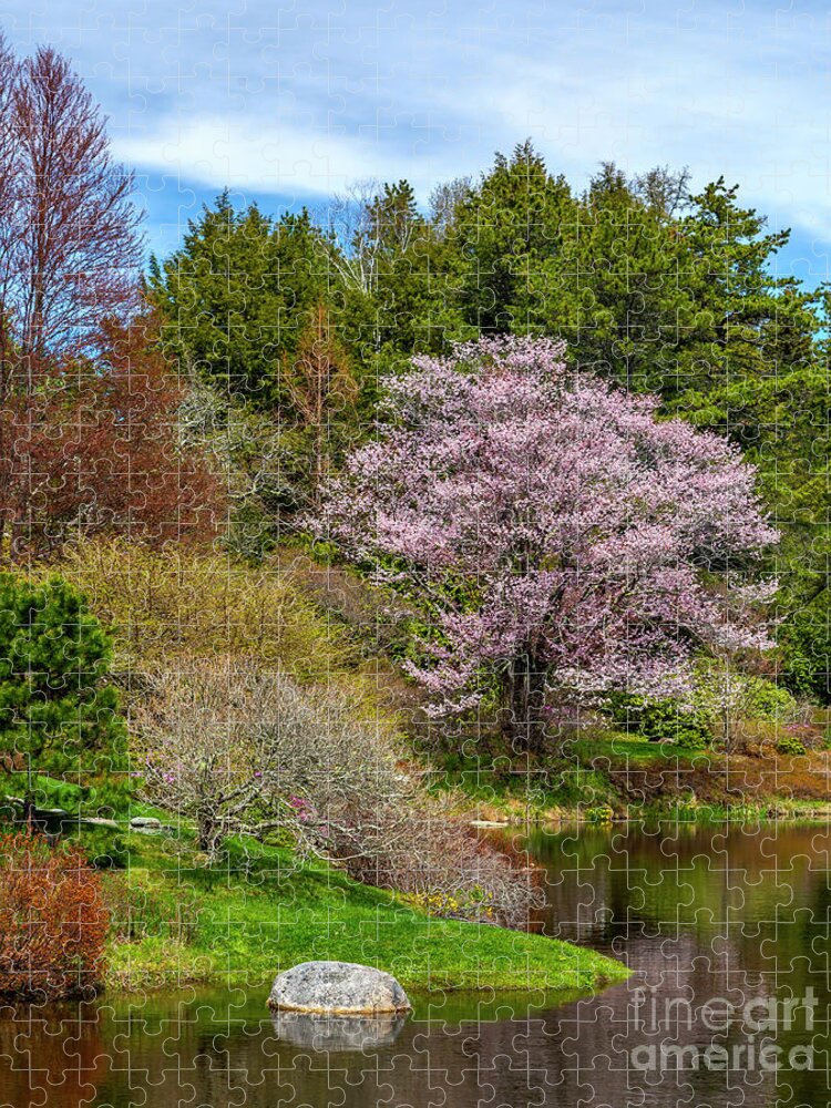 Asticou Azalea Garden Jigsaw Puzzle featuring the photograph Springtime Beauty by Karin Pinkham