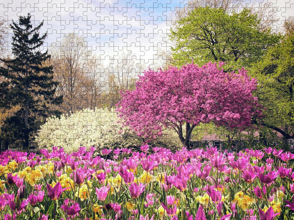 Spring Jigsaw Puzzle featuring the photograph Springtime Tulips by Jessica Jenney