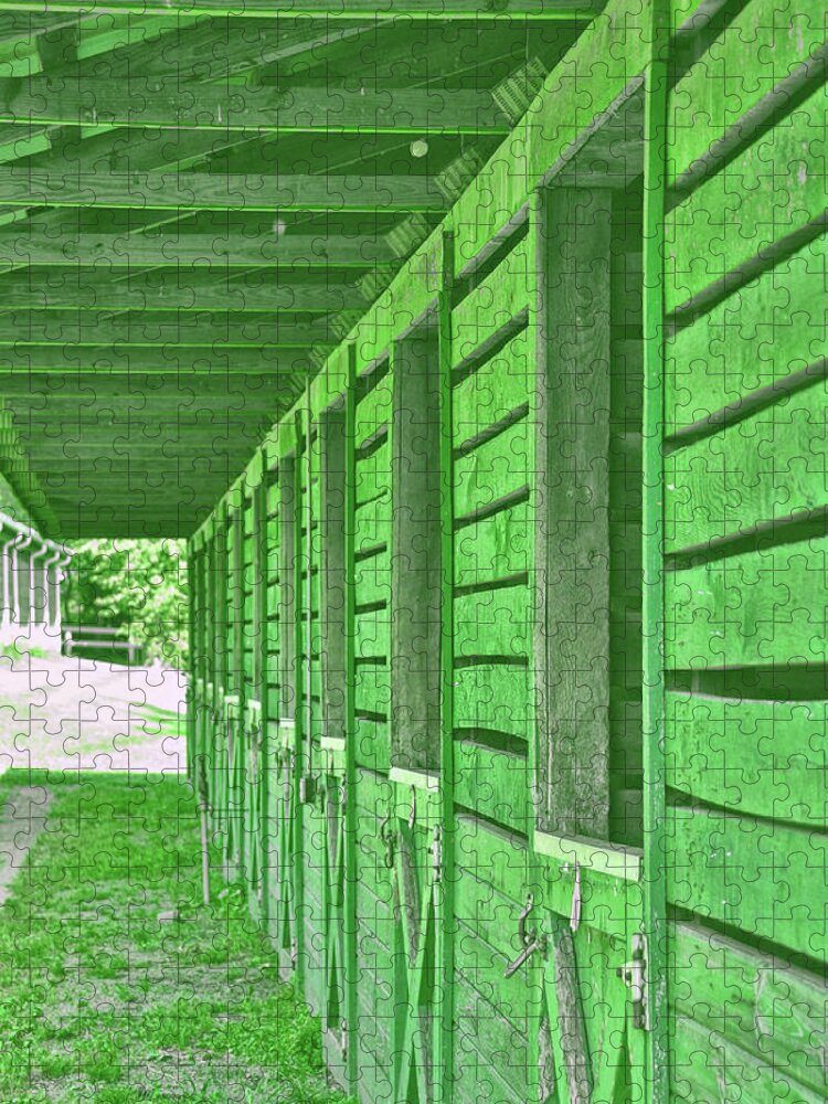 Barn Jigsaw Puzzle featuring the photograph Stables Of Green by JAMART Photography