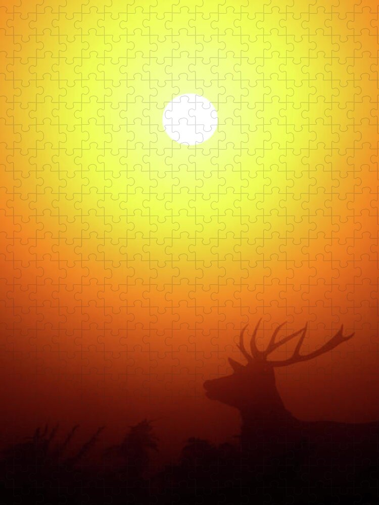 Dawn Jigsaw Puzzle featuring the photograph Stag At Dawn by Copyright Alex Berryman