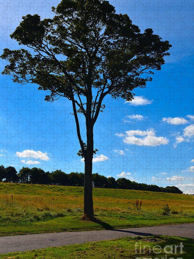 Edinburgh Jigsaw Puzzle featuring the photograph Standing Alone by Yvonne Johnstone