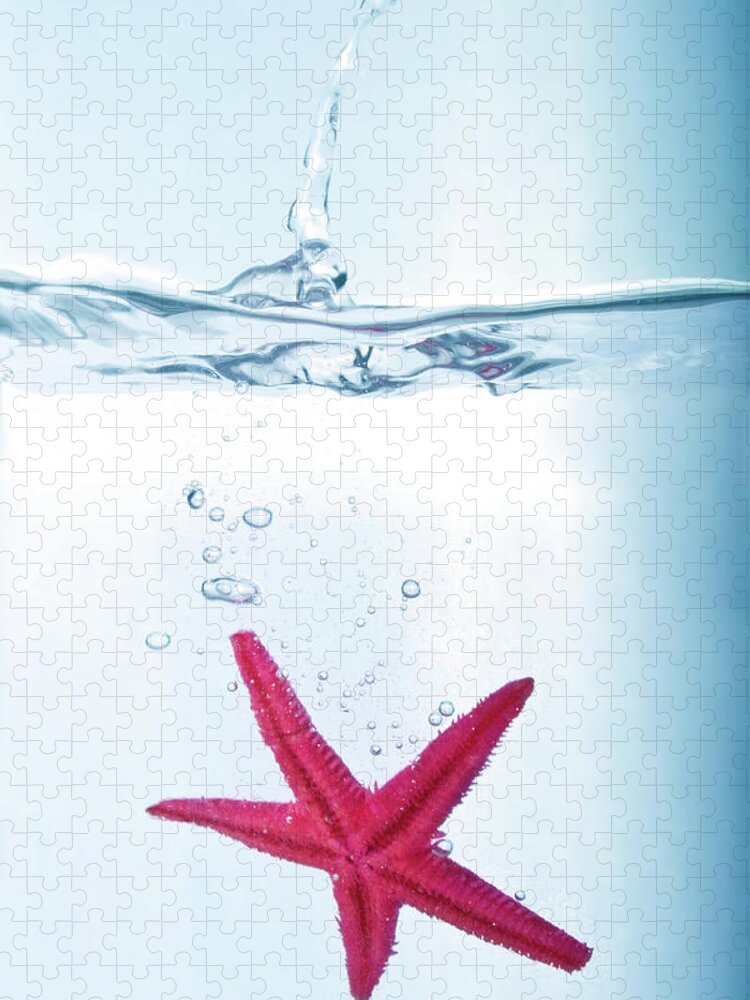 Underwater Jigsaw Puzzle featuring the photograph Starfish In Water by Fotografias De Rodolfo Velasco