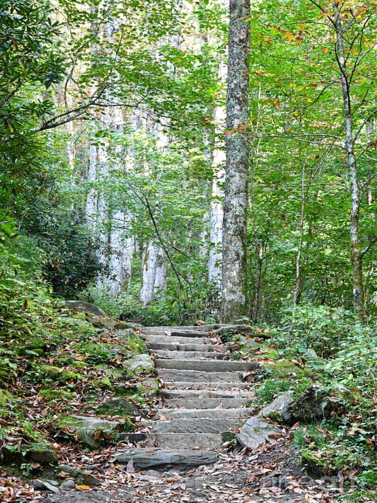 Tennessee Jigsaw Puzzle featuring the photograph Steps Up Into The Forest 1 by Phil Perkins