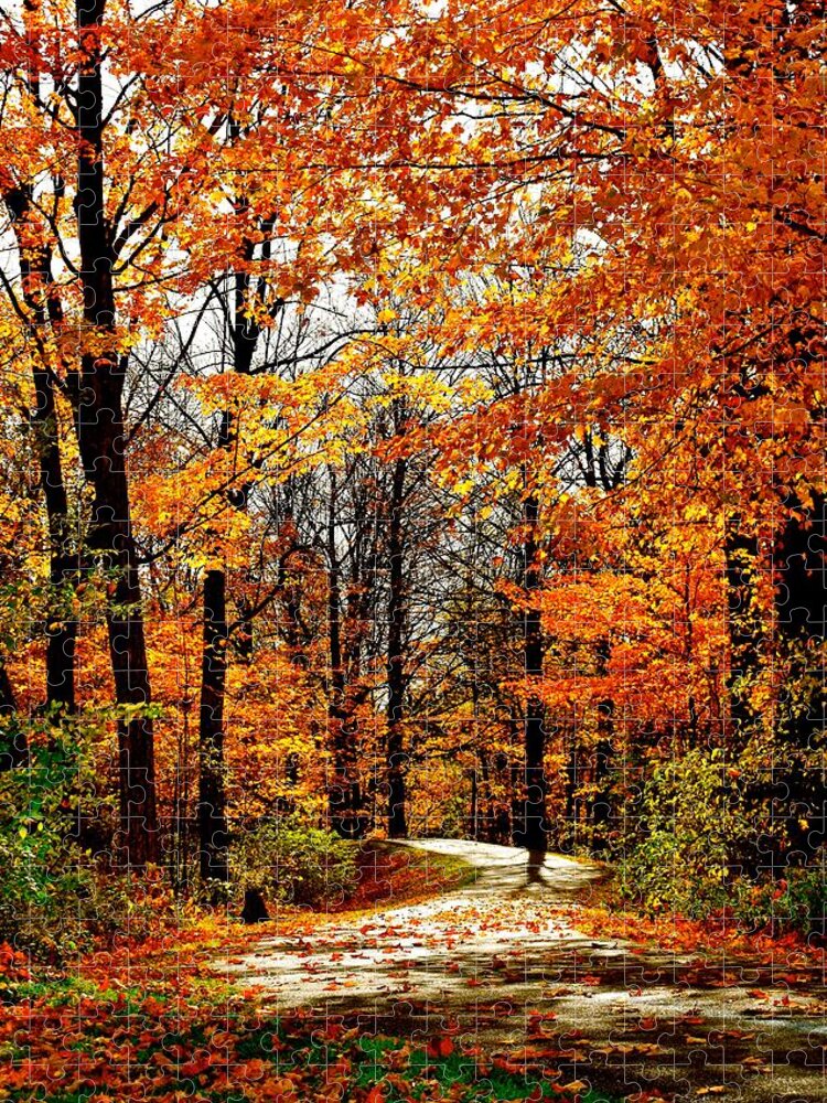 Landscape Jigsaw Puzzle featuring the photograph Stowe Path in Fall Colors by Monika Salvan