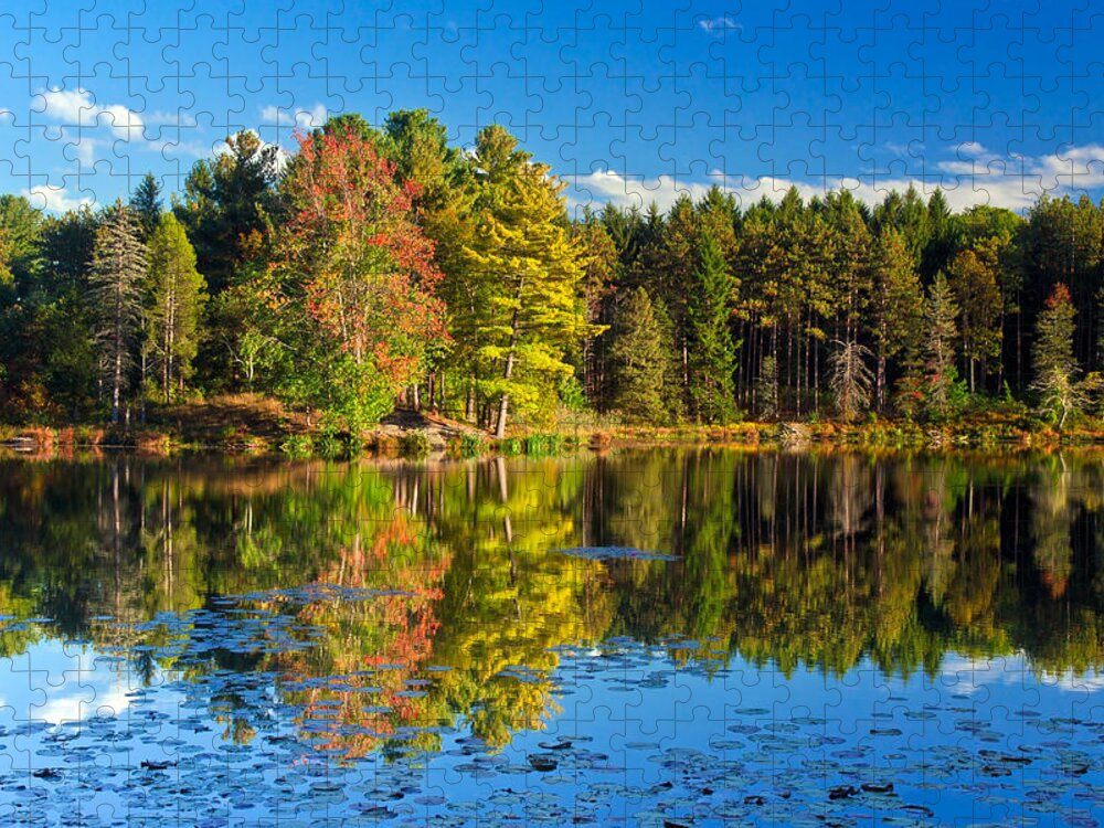 Allegheny Plateau Jigsaw Puzzle featuring the photograph Stuckys Pond by Michael Gadomski