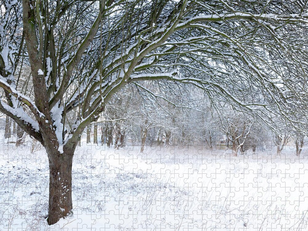 Norfolk Jigsaw Puzzle featuring the photograph Stunning forest snow winter scene by Simon Bratt