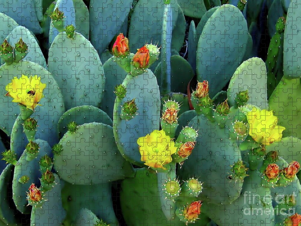 Cactus Jigsaw Puzzle featuring the photograph Summer Solstice by Kathy Bassett