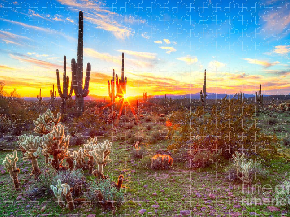 Sky Jigsaw Puzzle featuring the photograph Sun Is Setting Between Saguaros by Anton Foltin