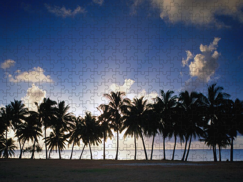 Nature Jigsaw Puzzle featuring the photograph Sun Setting Behind Palm Tree Lined by Manfred Gottschalk