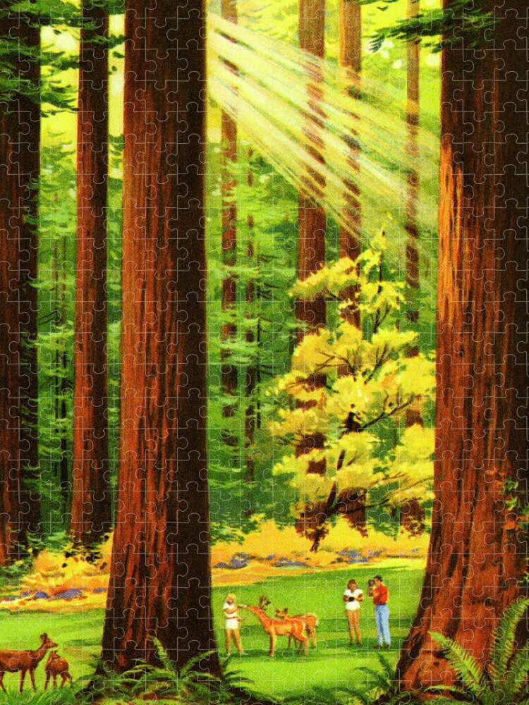 Animal Jigsaw Puzzle featuring the drawing Sun Shining Through the Forest by CSA Images