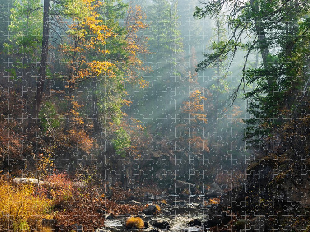 Mccloud Jigsaw Puzzle featuring the photograph Sunbeams on the McCloud River by Don Hoekwater Photography