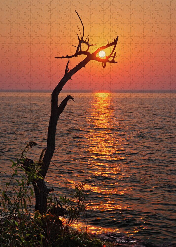 Sun Wi Cave Point Park Door County Lake Michigan Alignment Jigsaw Puzzle featuring the photograph SunCatcher - Dead tree grasps the rising sun at Cave Point Park in Door County WI by Peter Herman