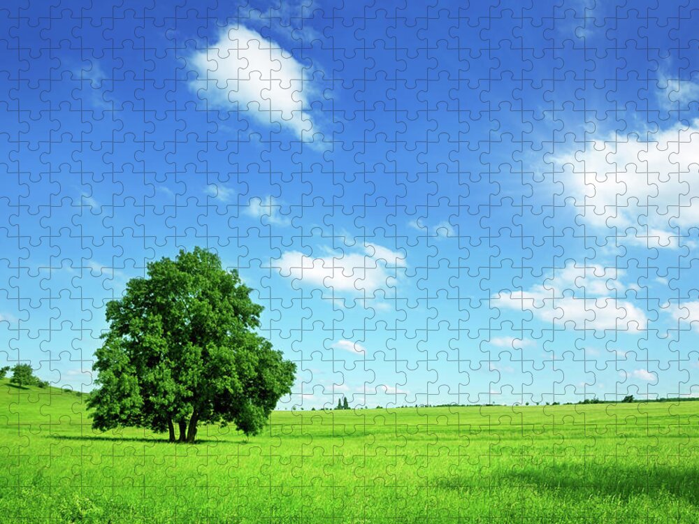Scenics Jigsaw Puzzle featuring the photograph Sunny Summer Landscape by Nikada