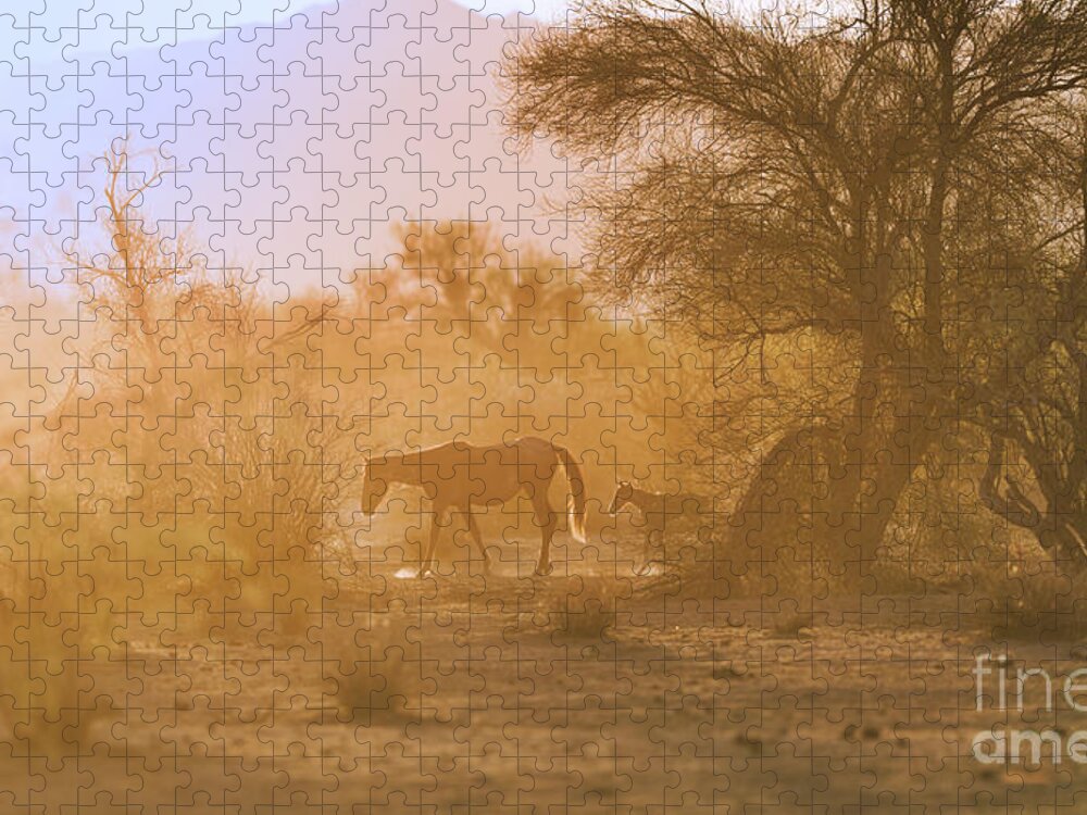 Cute Jigsaw Puzzle featuring the photograph Sunrise Walk by Shannon Hastings