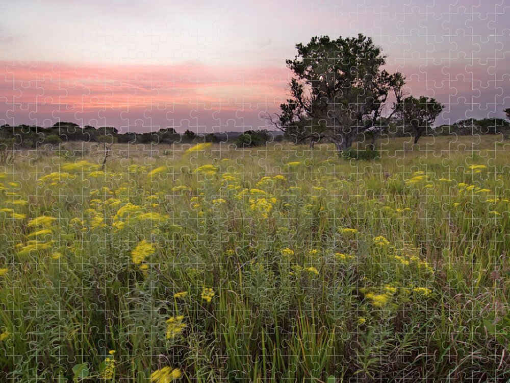 Isimangaliso Wetland Park Jigsaw Puzzle featuring the photograph Sunset Over A Field Of Yellow Flowers by Emil Von Maltitz