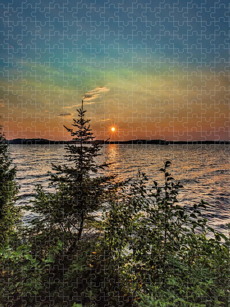 Dog Lake Jigsaw Puzzle featuring the photograph Sunset pine by Joe Holley