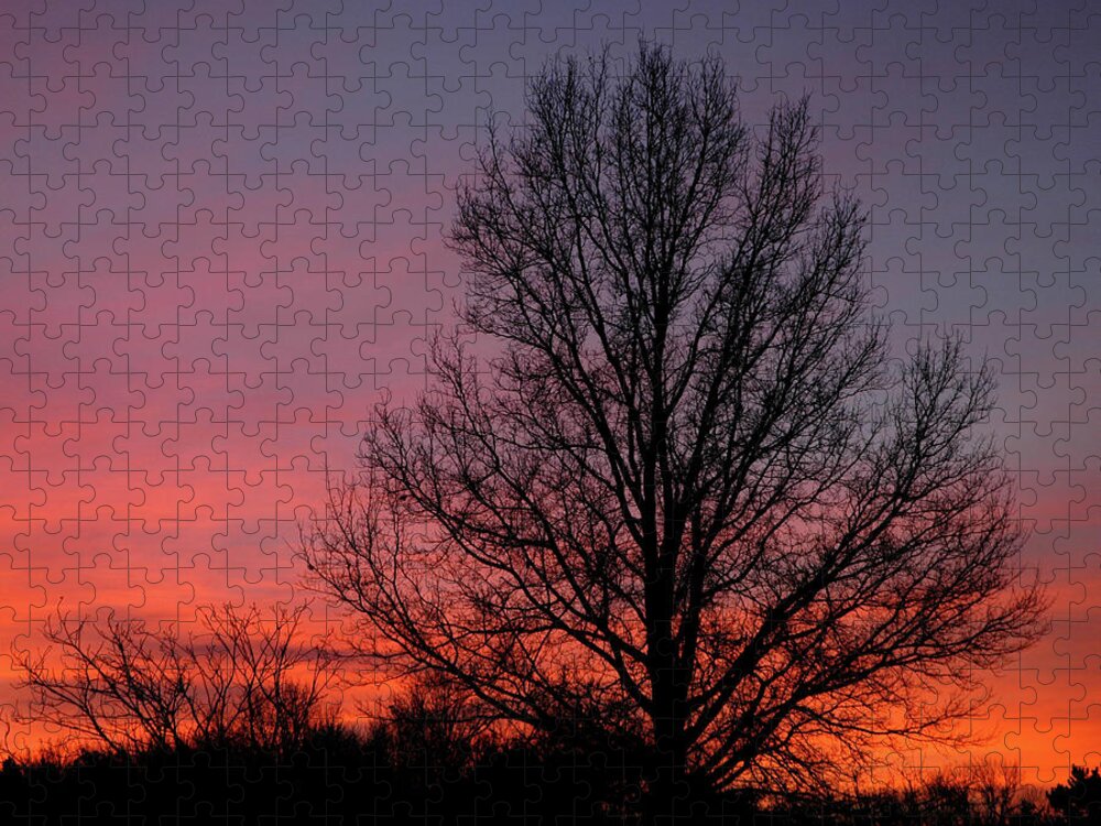 Tree Jigsaw Puzzle featuring the photograph Sunset Tree by Minnie Gallman