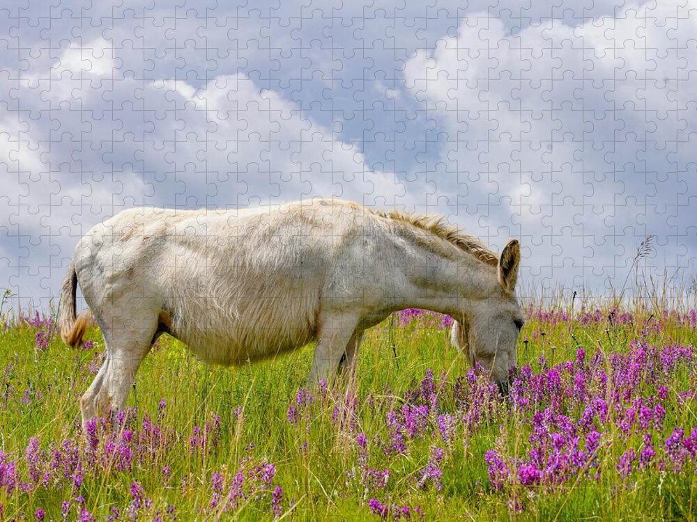 Wild Burro Jigsaw Puzzle featuring the photograph Sweet Burro by Susan Rydberg