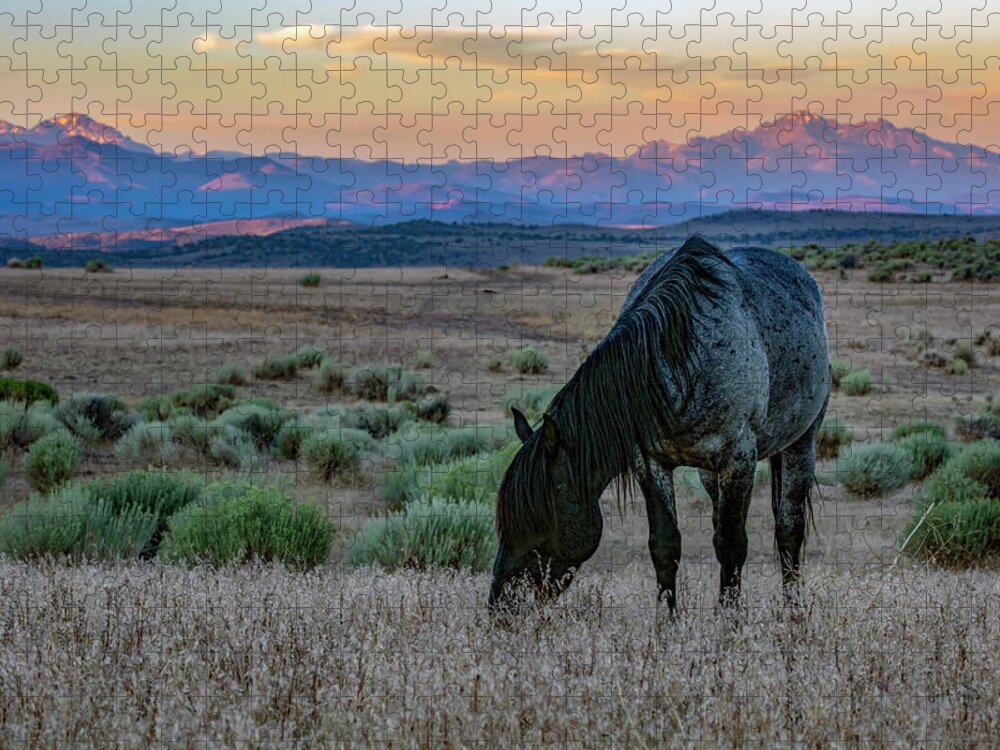 Landscape Jigsaw Puzzle featuring the photograph _t__6254 by John T Humphrey