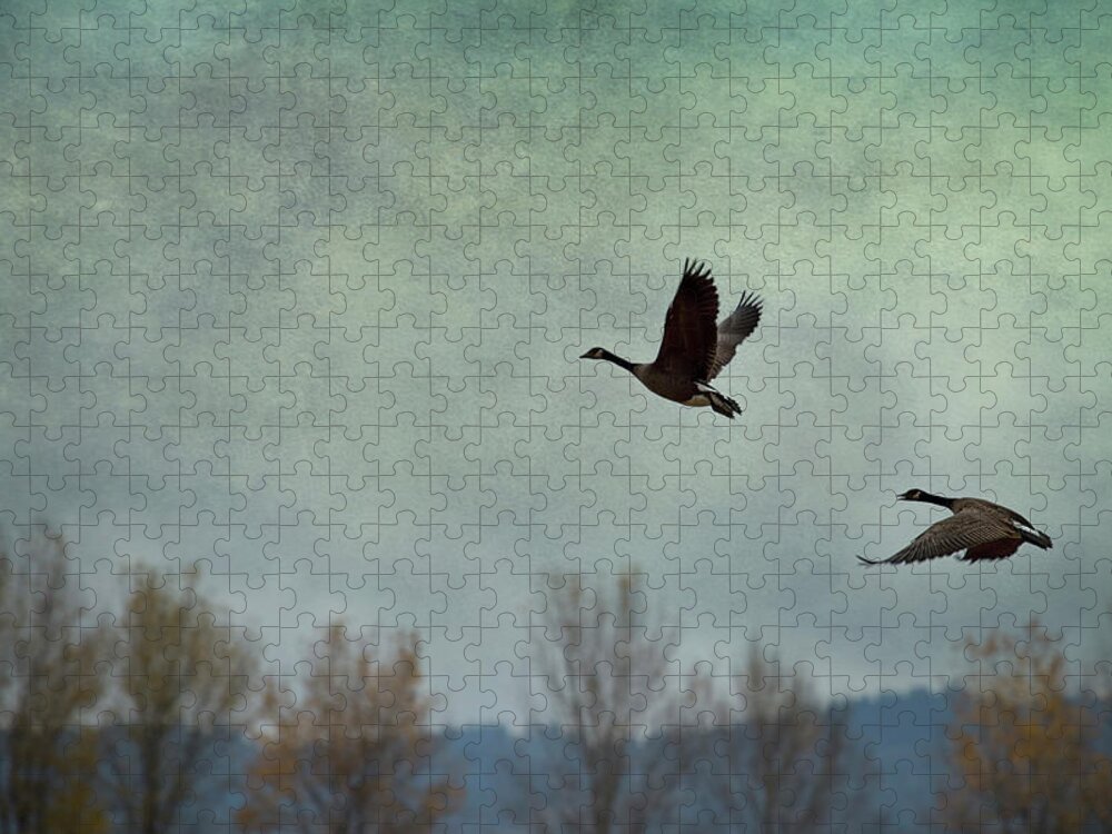 Geese Jigsaw Puzzle featuring the photograph Taking Flight by Belinda Greb