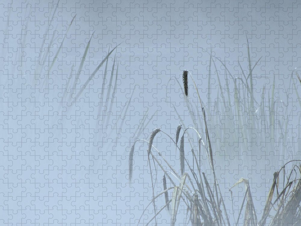 Grass Jigsaw Puzzle featuring the photograph Tall Grasses In Mist by Sandra Leidholdt