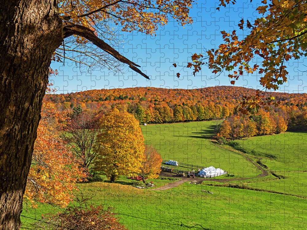 Woodstock Jigsaw Puzzle featuring the photograph Tending to the Farm Woodstock Vermont VT Vibrant Autumn Foliage Yellow and Orange by Toby McGuire