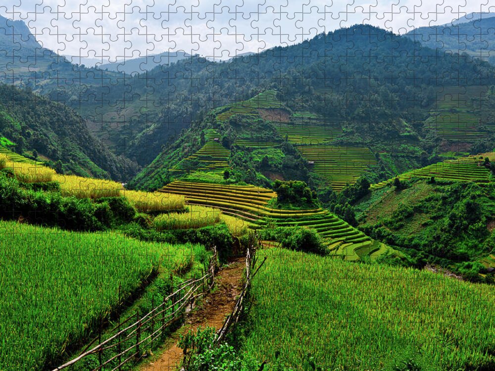 Rice Paddy Jigsaw Puzzle featuring the photograph Terraced Rice Fields In Vietnam by @chinnyplus