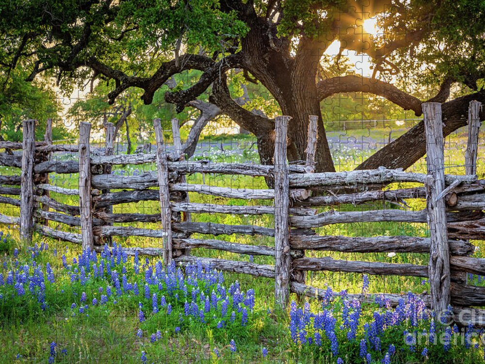 America Jigsaw Puzzle featuring the photograph Texas Fence by Inge Johnsson