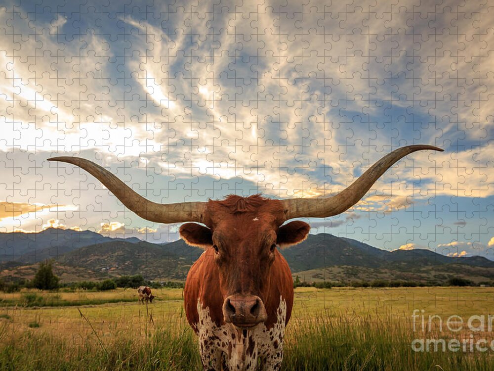 Big Jigsaw Puzzle featuring the photograph Texas Longhorn Steer In Rural Utah Usa by Johnny Adolphson