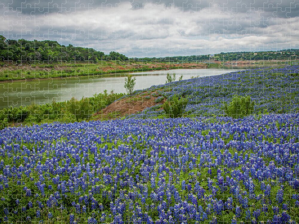 Bluebonnets Jigsaw Puzzle featuring the photograph Texas Spring 2 by Tom Weisbrook