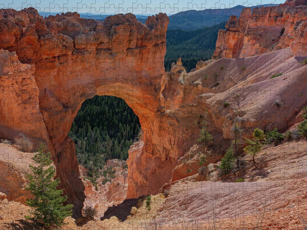 Stone Arch Jigsaw Puzzle featuring the photograph The Arch by Arthur Oleary