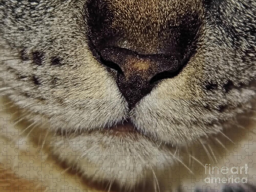 Nose Jigsaw Puzzle featuring the photograph The - Cat - Nose by D Hackett