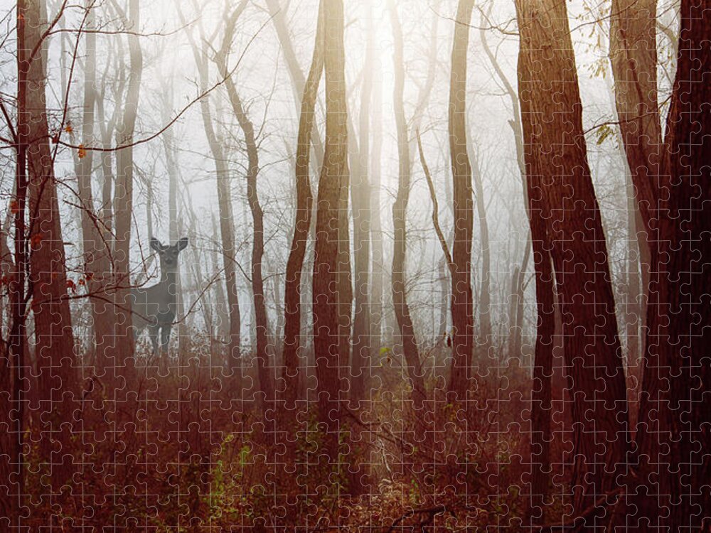 Dupage County Jigsaw Puzzle featuring the photograph The Deer in the Fog by Joni Eskridge by Joni Eskridge