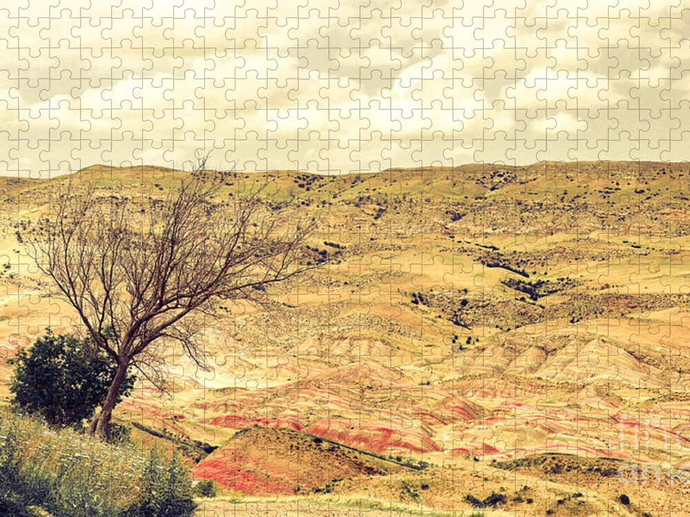 Desert Jigsaw Puzzle featuring the photograph The desert mountains of Transcaucasia by Yavor Mihaylov