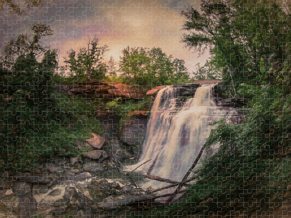 Falls Jigsaw Puzzle featuring the photograph The Falls by Pheasant Run Gallery