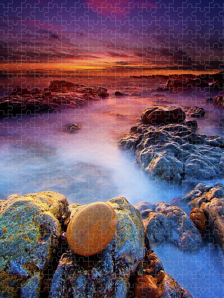 Water's Edge Jigsaw Puzzle featuring the photograph The Golden Egg by Andrew Davies