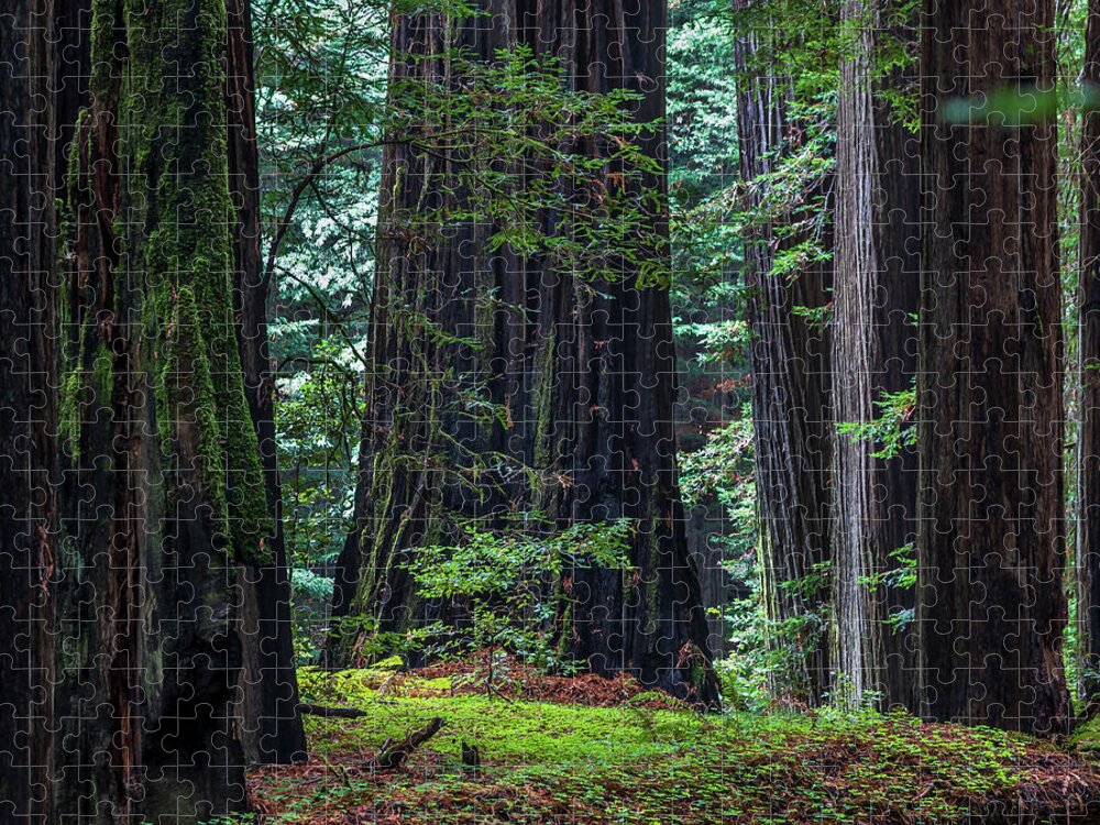 California Jigsaw Puzzle featuring the photograph The Hollow by Peter Tellone