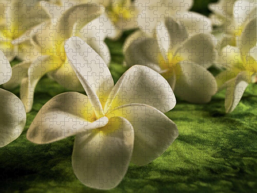 Honolulu Jigsaw Puzzle featuring the photograph The Light Within by Melinda Podor