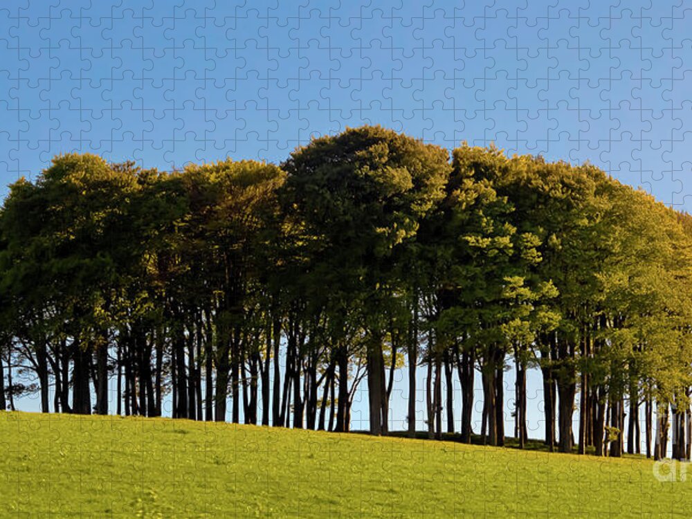 The Nearly Home Trees Jigsaw Puzzle featuring the photograph The Nearly Home Trees by Terri Waters