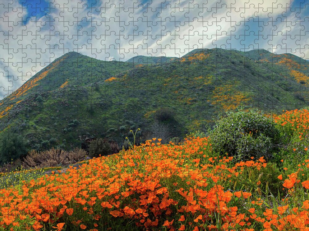 Poppies Jigsaw Puzzle featuring the photograph The Poppies of Walker Canyon by Lynn Bauer