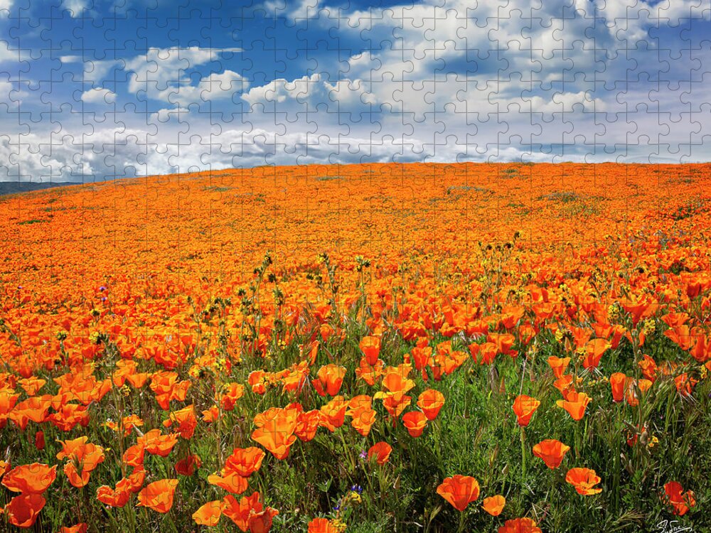 Antelope Valley Poppy Reserve Jigsaw Puzzle featuring the photograph The Poppy Field by Endre Balogh