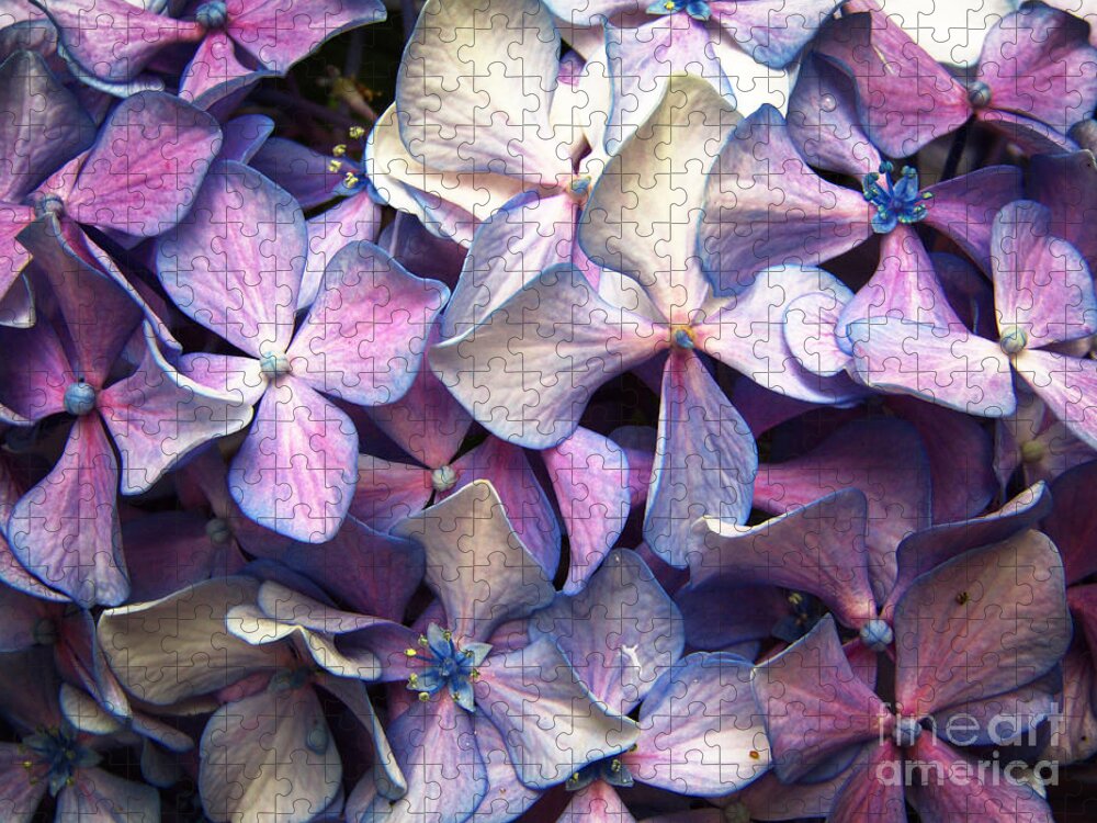 Hydrangea Jigsaw Puzzle featuring the photograph The Purple Blues by Robert Knight