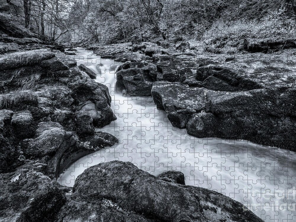 Landscape Jigsaw Puzzle featuring the photograph The Strid, Yorkshire, England by Philip Preston