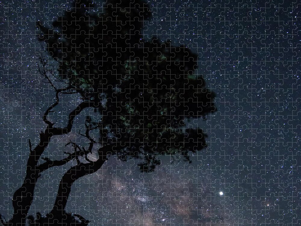 Assateague Island Jigsaw Puzzle featuring the photograph The Tree and the Stars by Ken Fullerton